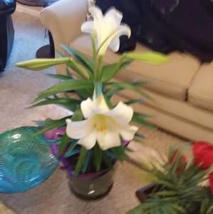 Meet your Posher, Mary